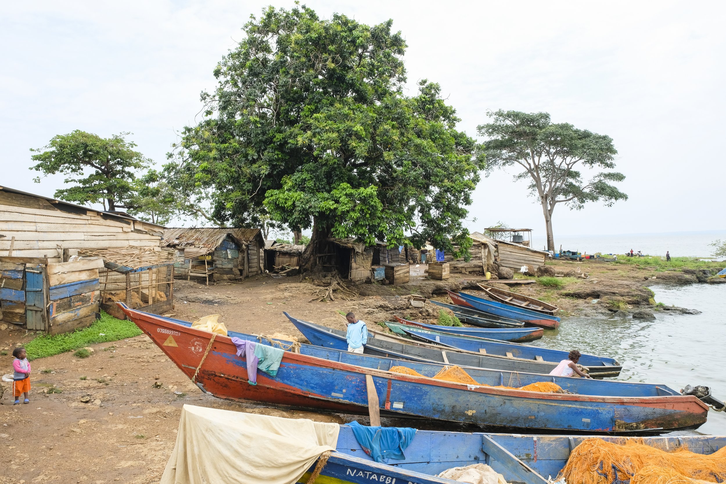 How Digital Tools Are Connecting Uganda's Fisherswomen to Markets and Financial Services